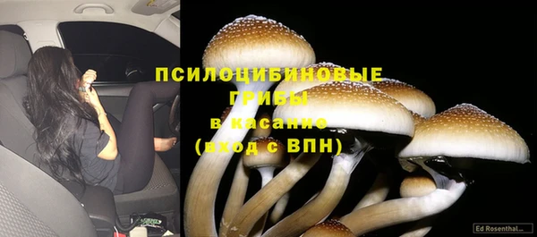 каннабис Покровск