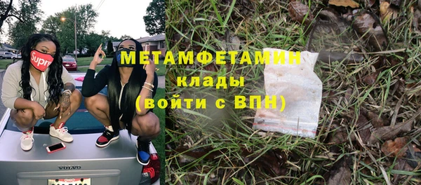 гидра Абаза