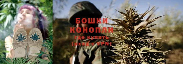 сатива Покачи
