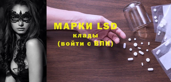 сатива Покачи