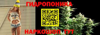 гашишное масло Гусев