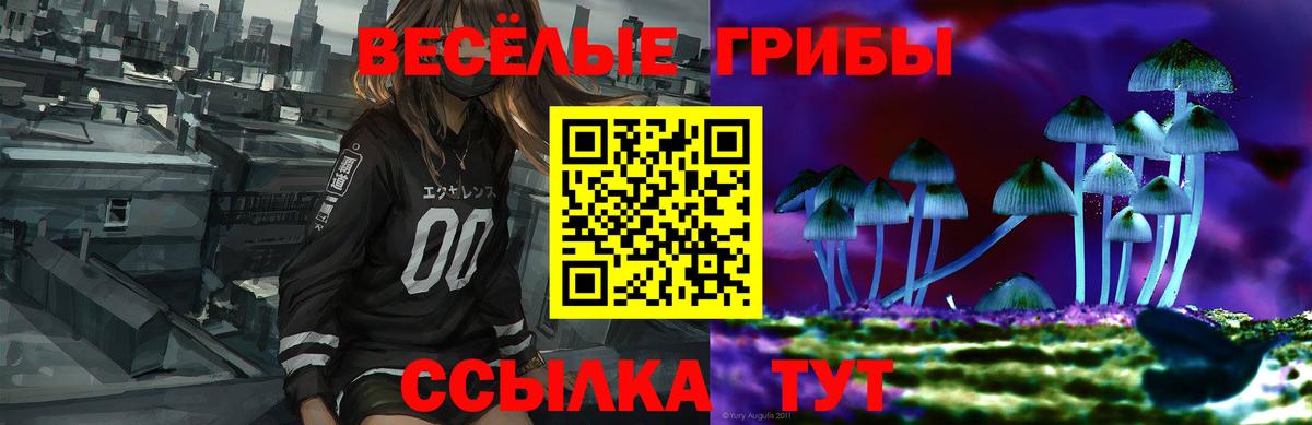 Псилоцибиновые грибы GOLDEN TEACHER Ханты-Мансийск